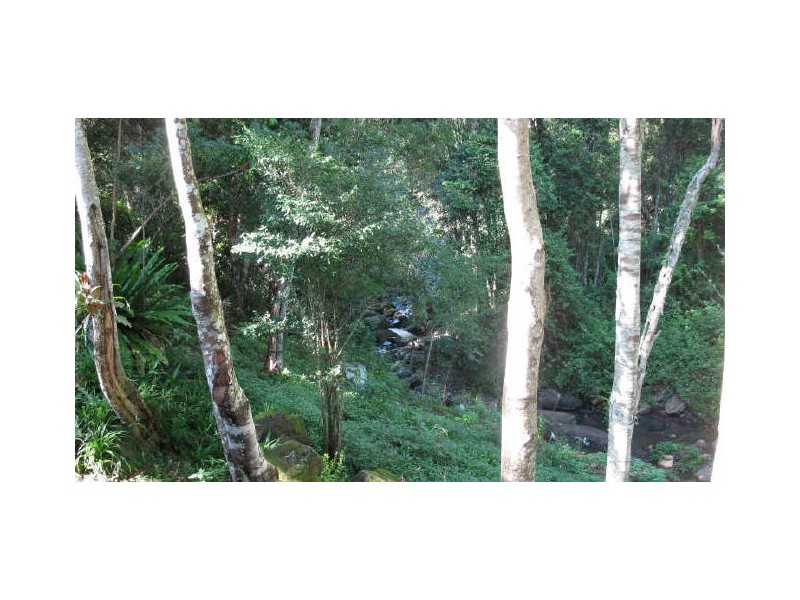 Commissioners Creek NSW 2484