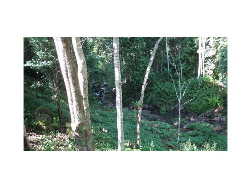 Commissioners Creek NSW 2484