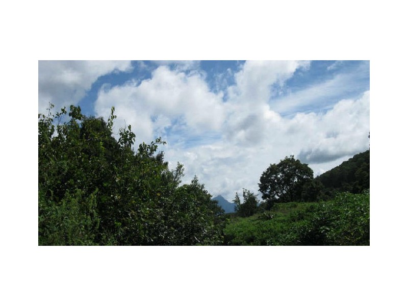 Commissioners Creek NSW 2484