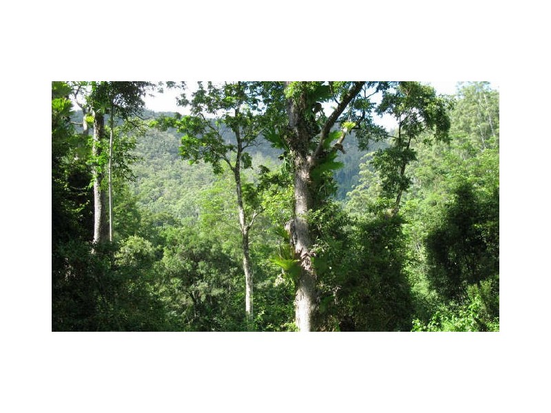 Commissioners Creek NSW 2484