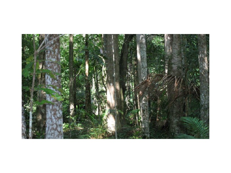 Commissioners Creek NSW 2484