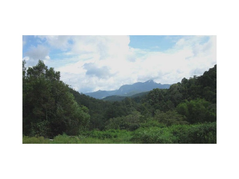 Commissioners Creek NSW 2484