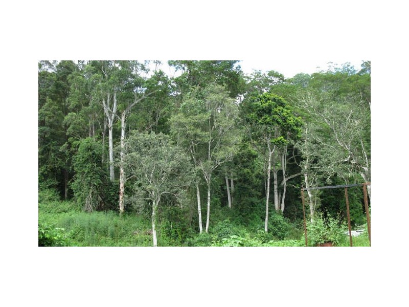 Commissioners Creek NSW 2484