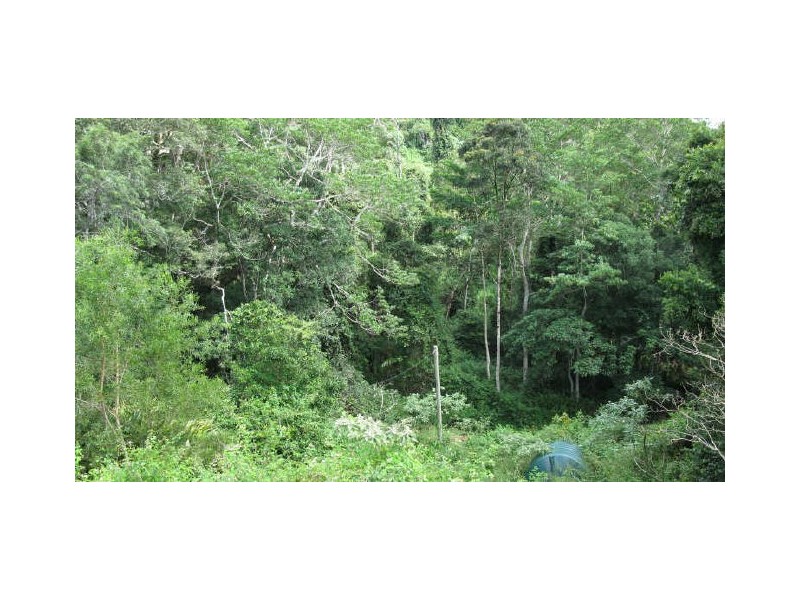 Commissioners Creek NSW 2484