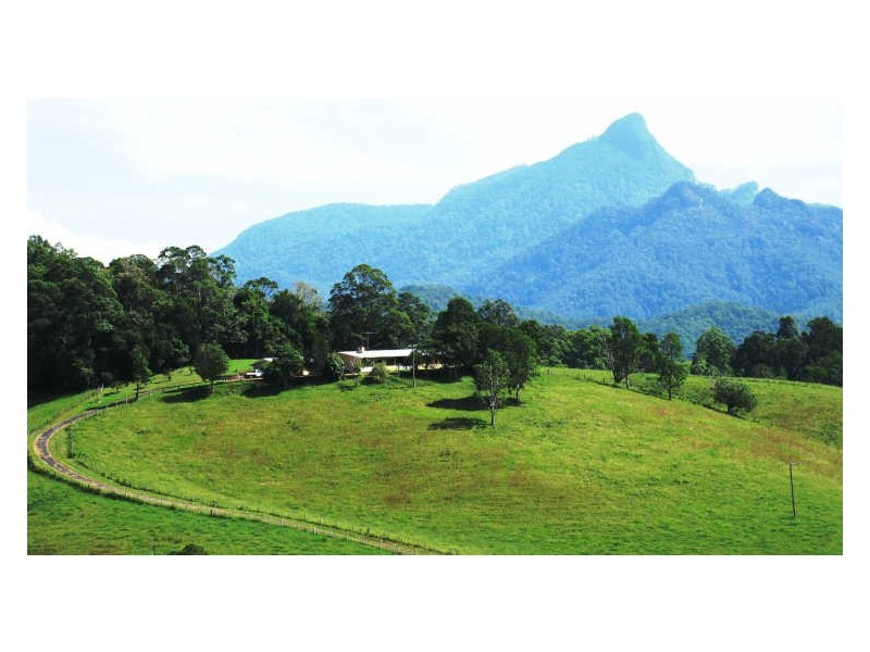 212 Chowan Creek Road, Uki NSW 2484