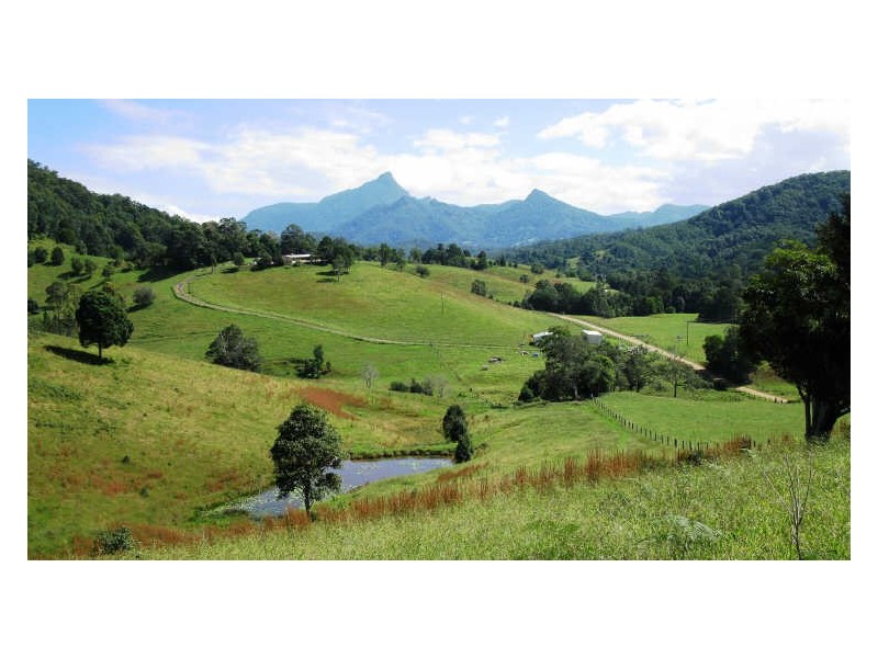 212 Chowan Creek Road, Uki NSW 2484