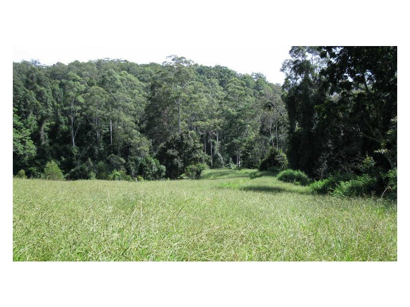 212 Chowan Creek Road, Uki NSW 2484