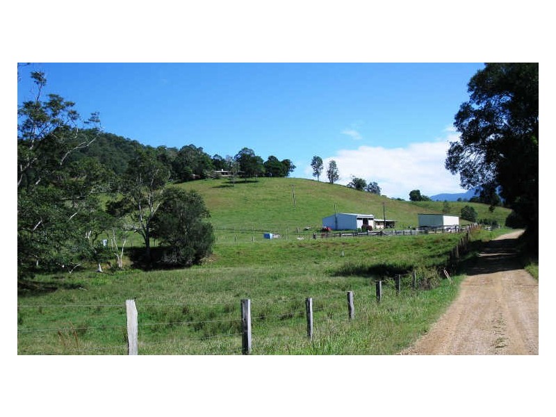 212 Chowan Creek Road, Uki NSW 2484