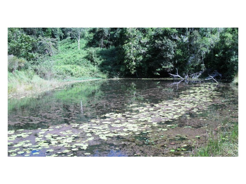 212 Chowan Creek Road, Uki NSW 2484