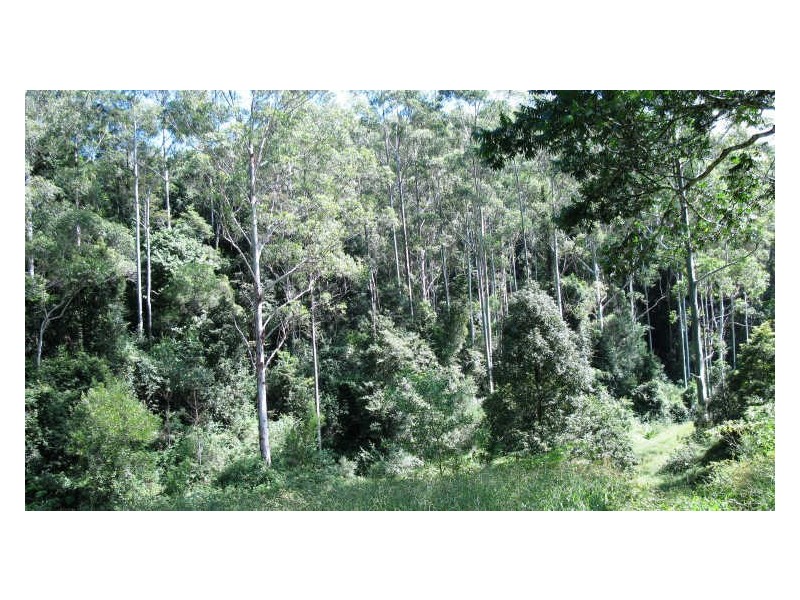 212 Chowan Creek Road, Uki NSW 2484