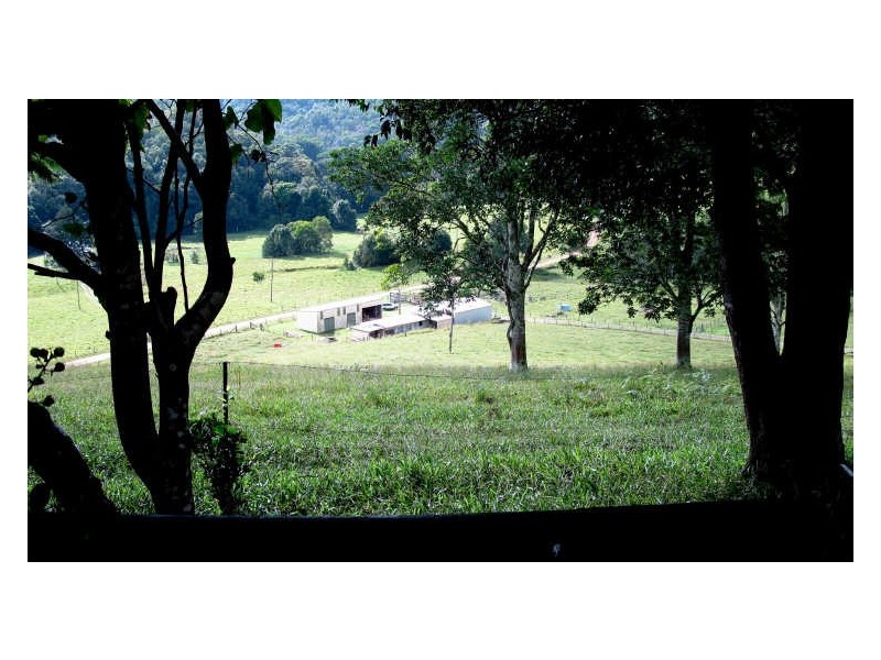 212 Chowan Creek Road, Uki NSW 2484