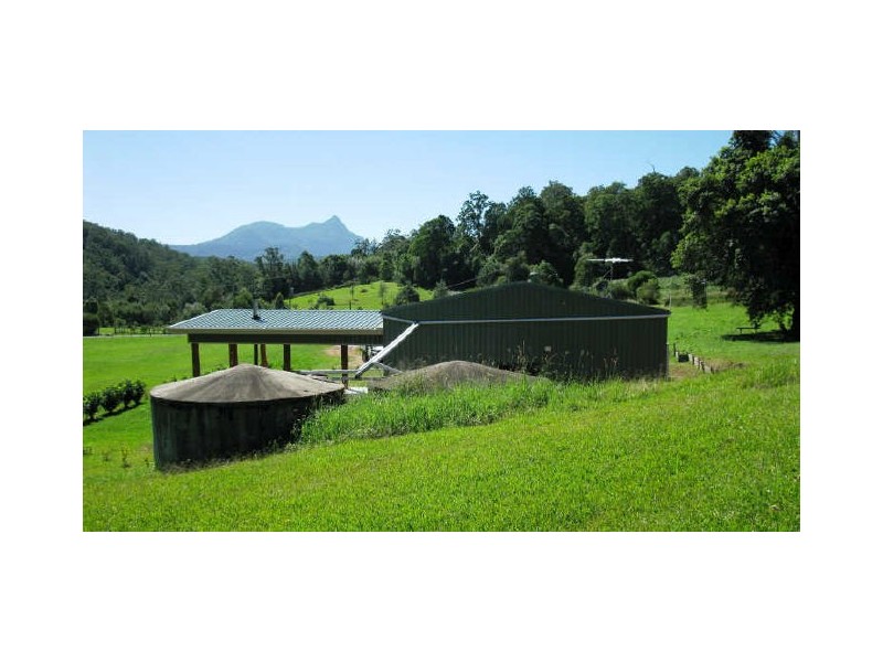 Mount Burrell NSW 2484