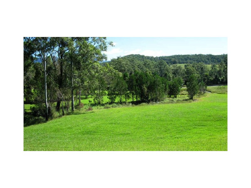 Mount Burrell NSW 2484