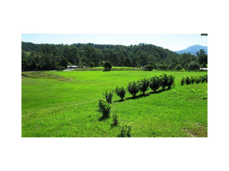 Mount Burrell NSW 2484