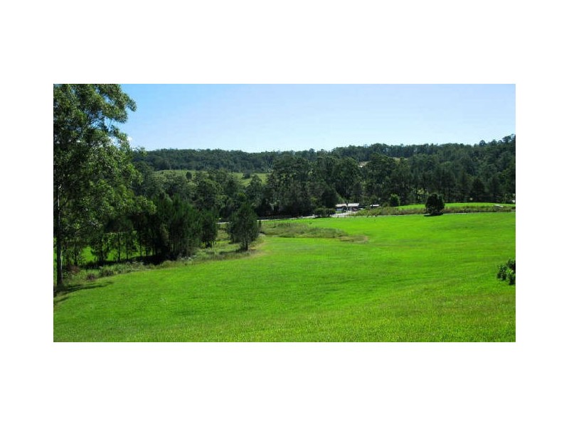 Mount Burrell NSW 2484