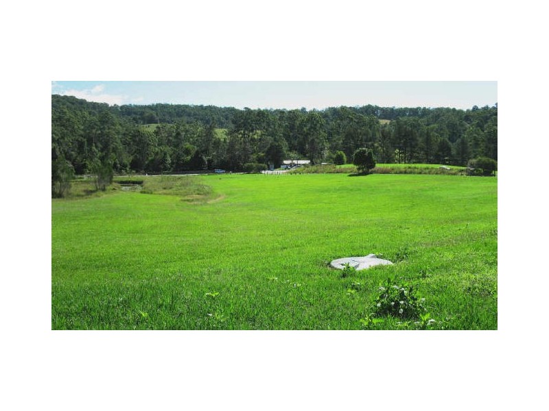 Mount Burrell NSW 2484