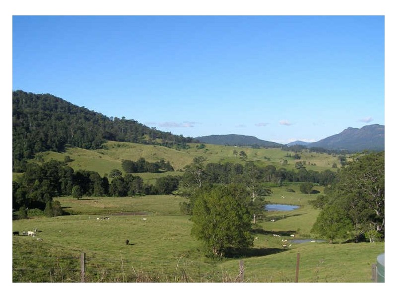 149 Hoggs Road, Tyalgum NSW 2484