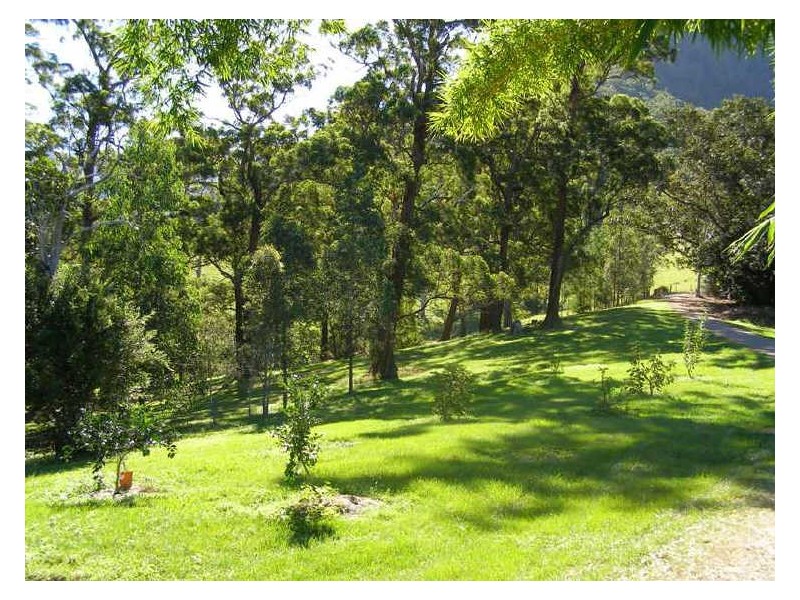 149 Hoggs Road, Tyalgum NSW 2484