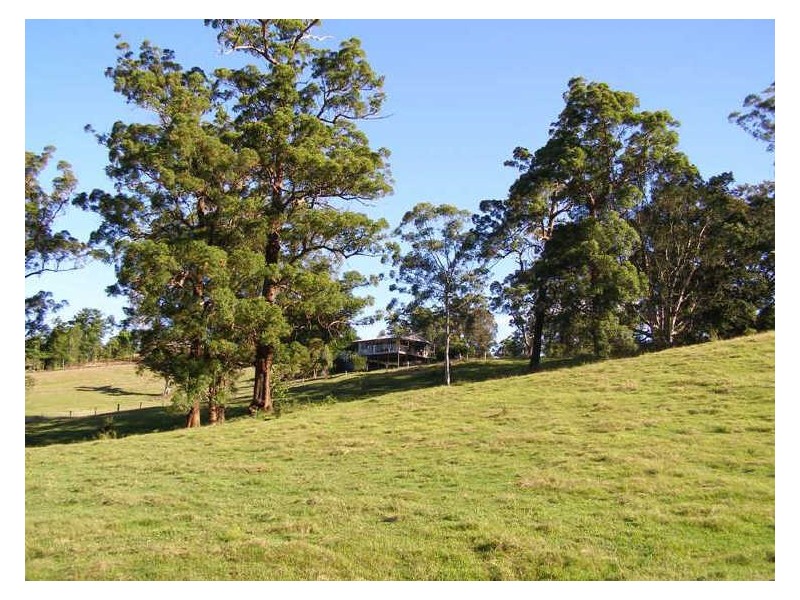 149 Hoggs Road, Tyalgum NSW 2484