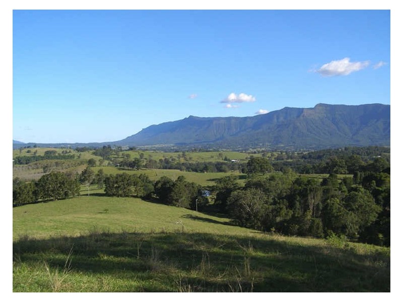 149 Hoggs Road, Tyalgum NSW 2484