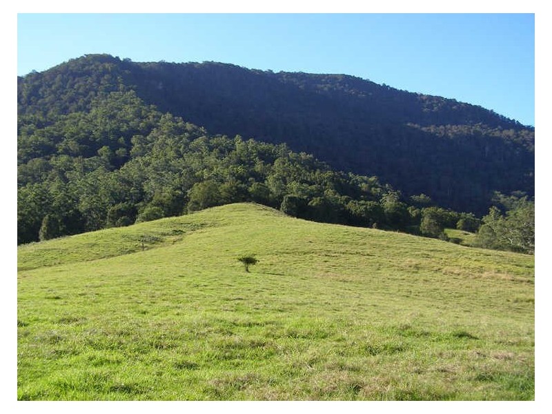 149 Hoggs Road, Tyalgum NSW 2484