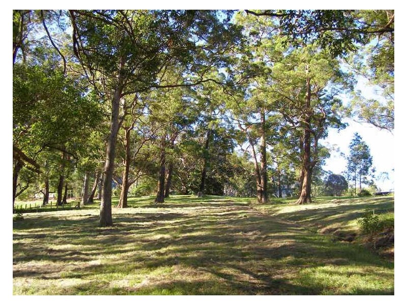 149 Hoggs Road, Tyalgum NSW 2484