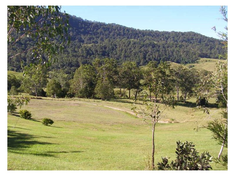 149 Hoggs Road, Tyalgum NSW 2484