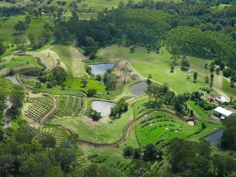 1149 Williams Rd, Barkers Vale NSW 2474