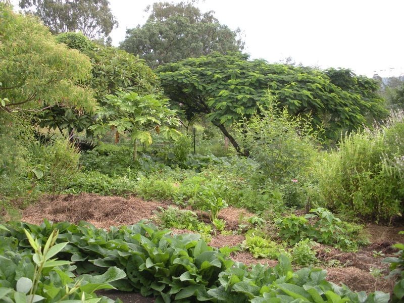 1149 Williams Rd, Barkers Vale NSW 2474