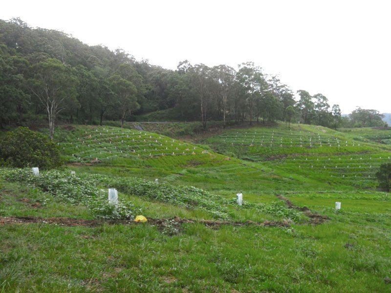 1149 Williams Rd, Barkers Vale NSW 2474