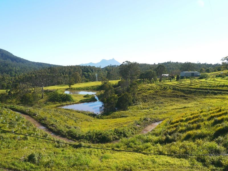 1149 Williams Rd, Barkers Vale NSW 2474