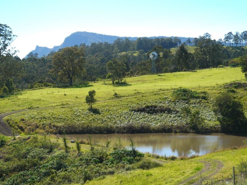 1149 Williams Rd, Barkers Vale NSW 2474