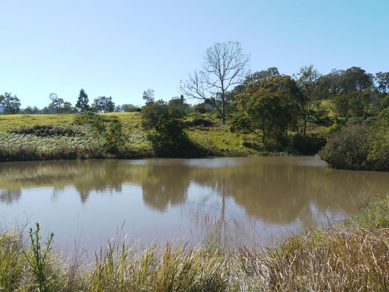 1149 Williams Rd, Barkers Vale NSW 2474