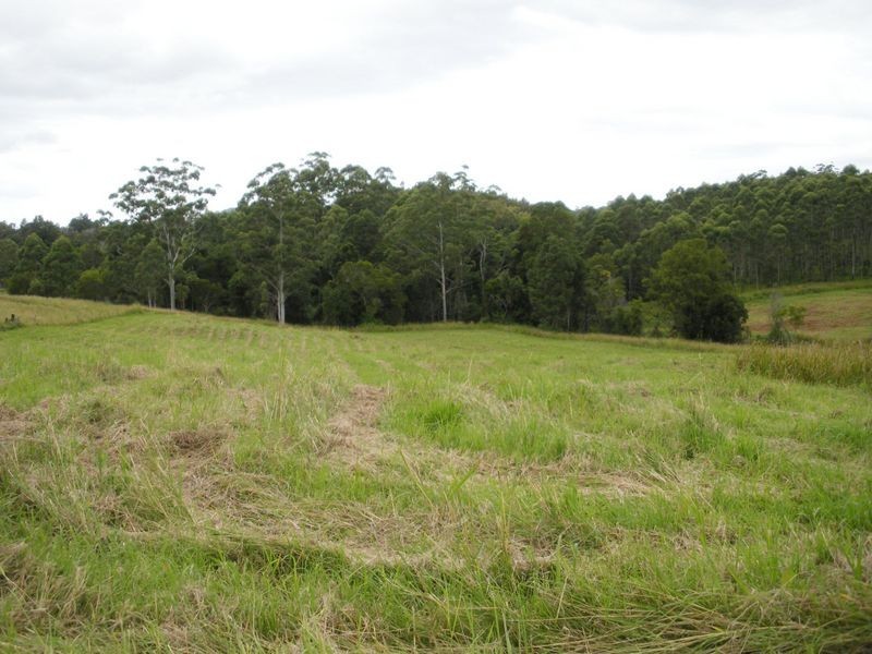 1149 Williams Rd, Barkers Vale NSW 2474