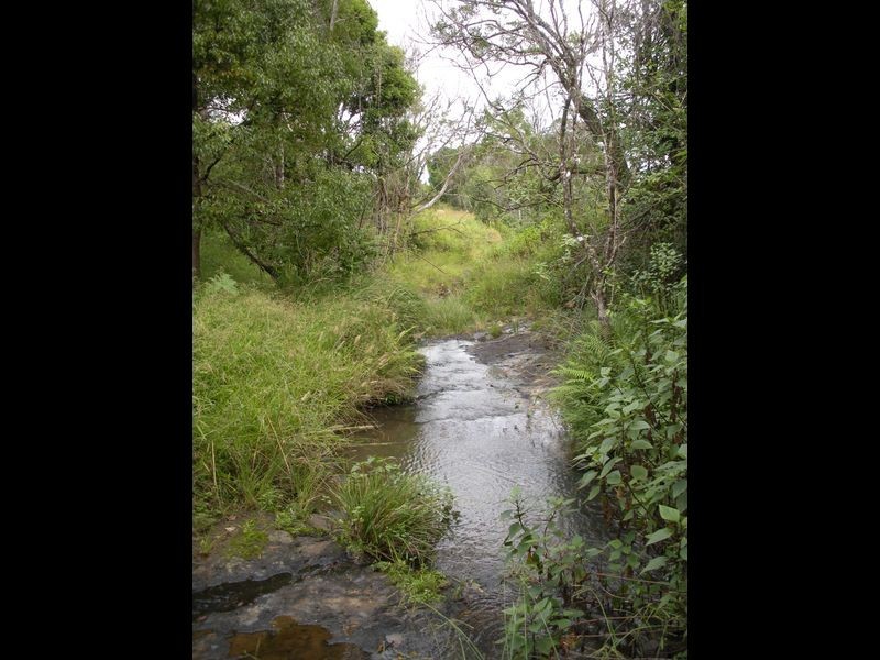 1149 Williams Rd, Barkers Vale NSW 2474