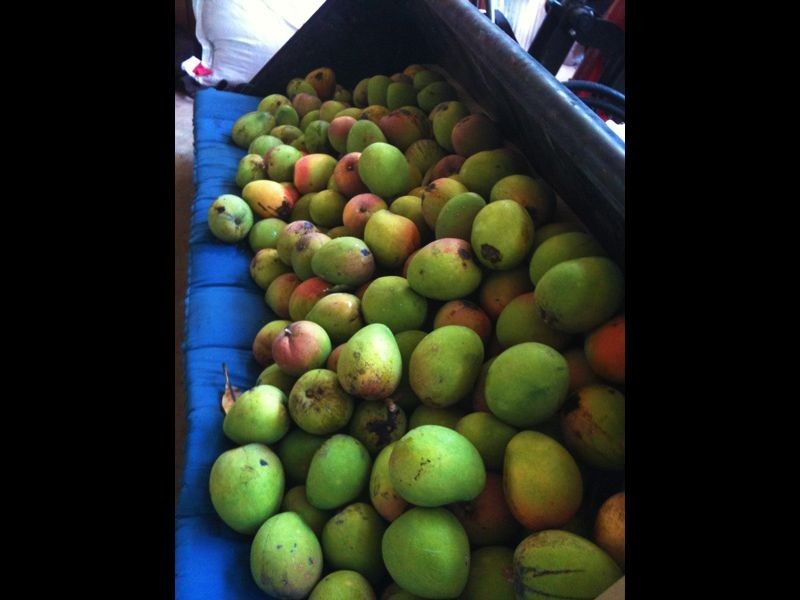 1149 Williams Rd, Barkers Vale NSW 2474