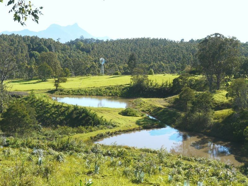 1149 Williams Rd, Barkers Vale NSW 2474