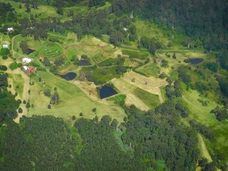 1149 Williams Rd, Barkers Vale NSW 2474