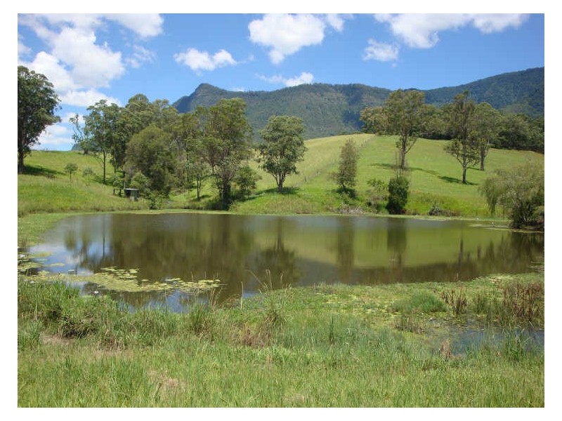 330 Back Creek Road, Tyalgum NSW 2484