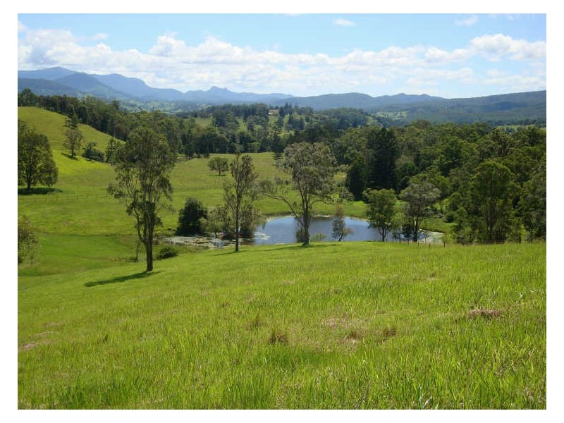 330 Back Creek Road, Tyalgum NSW 2484