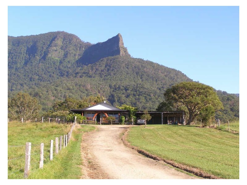 330 Back Creek Road, Tyalgum NSW 2484