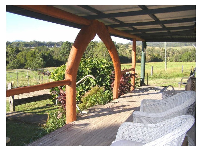 330 Back Creek Road, Tyalgum NSW 2484