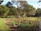 330 Back Creek Road, Tyalgum NSW 2484