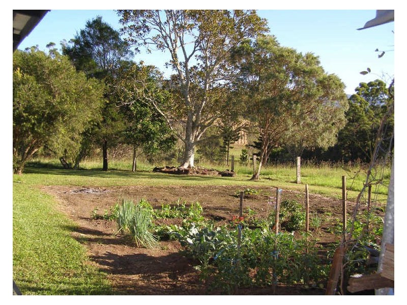 330 Back Creek Road, Tyalgum NSW 2484