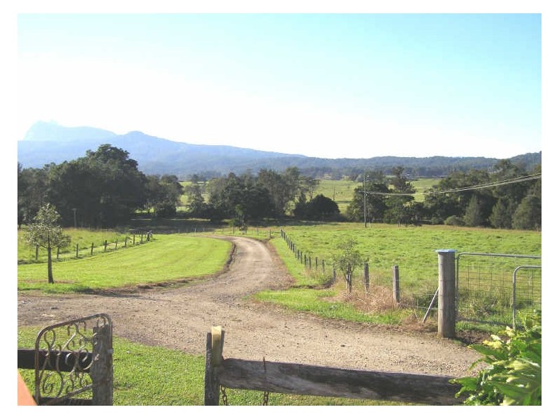 330 Back Creek Road, Tyalgum NSW 2484