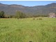 330 Back Creek Road, Tyalgum NSW 2484
