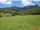 330 Back Creek Road, Tyalgum NSW 2484