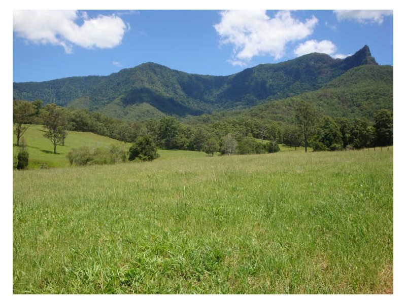 330 Back Creek Road, Tyalgum NSW 2484