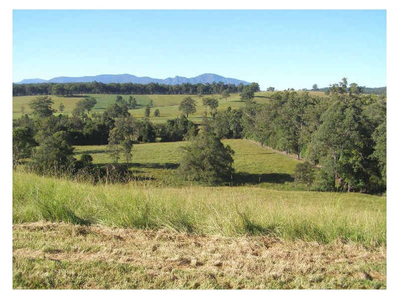 330 Back Creek Road, Tyalgum NSW 2484