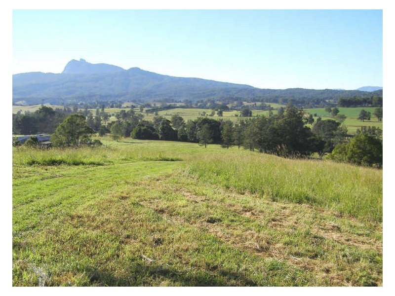 330 Back Creek Road, Tyalgum NSW 2484